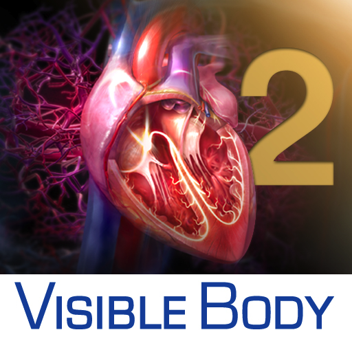 3D Heart & Circulatory Premium 2 ("Улучшенная трехмерная анатомия сердечно-сосудистой системы 2")