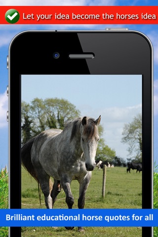 Horse Back Riding Sayings - Equestrian Horsemanship App screenshot 2