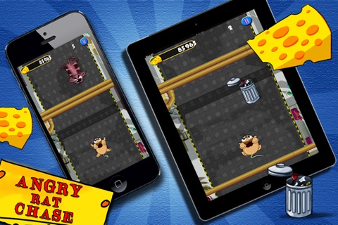 Angry Rat Chase - Hungry For Cheese (Free Game) screenshot 3