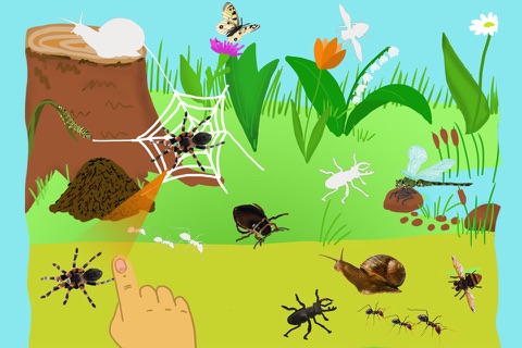 Who Lives Where, Educational puzzle with animals for toddlers, Age 2+ screenshot 4