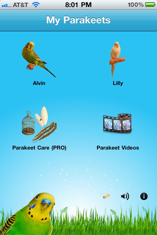 Parakeets screenshot-3