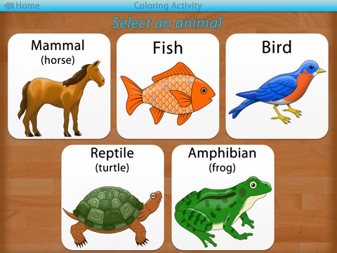 Animals and Plants - Montessori Coloring Activities screenshot 3