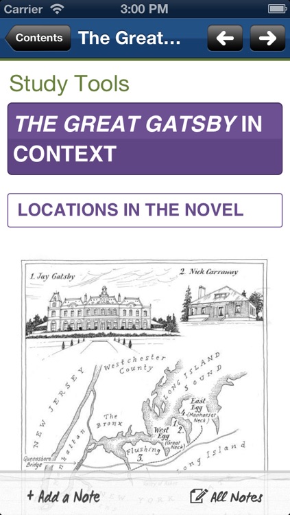 The Great Gatsby York Notes AS and A2 screenshot-3