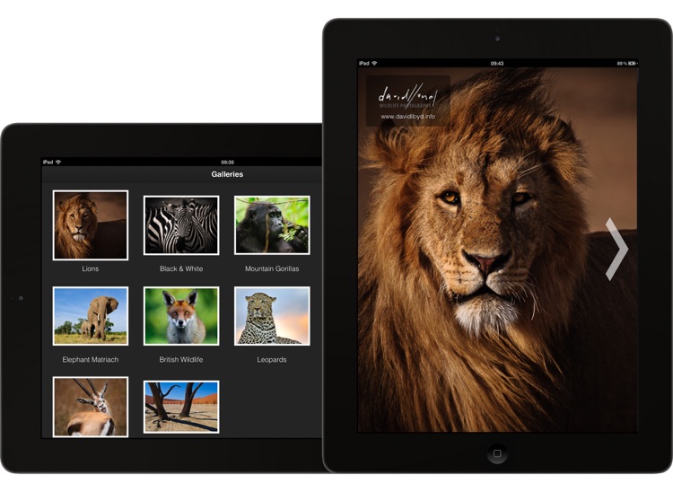 Portfolio Pro for iPad - Brandable Photo and Video App
