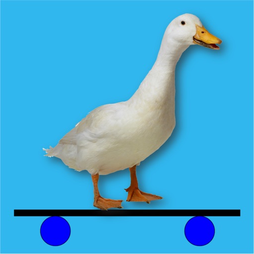 Duck Jump! iOS App