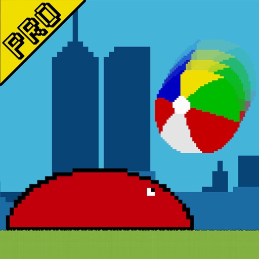 Pix Volley Multiplayer Pro Icon