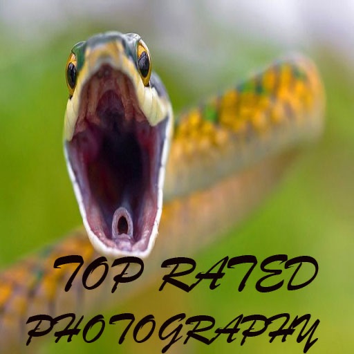 Top Rated Photography icon