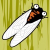 Cicada Game