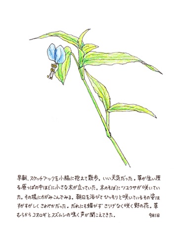 スクリーンショット 2