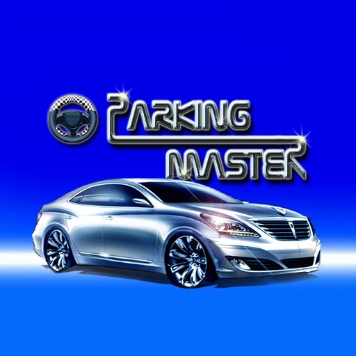 Parking Master 1.1 icon