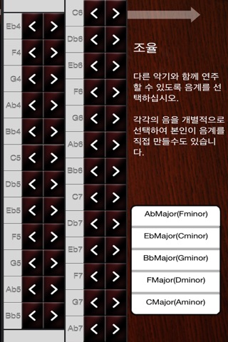 25 String Gayageum screenshot 3