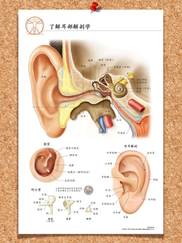 Body Scientific Charts and Books screenshot 3