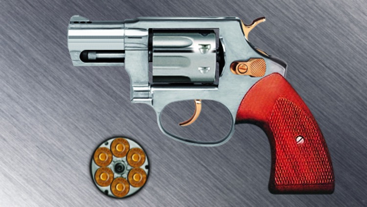 Revolver Firearms: Gun Shots App