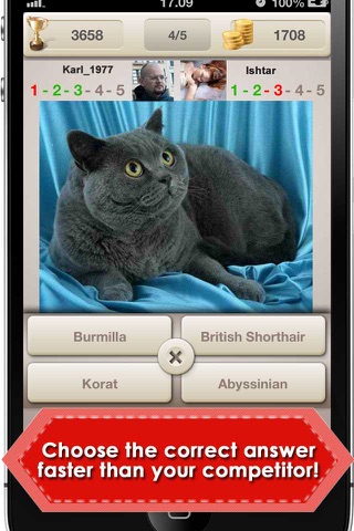 Cats: Guess & Win! screenshot 2