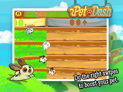 Pet Dash HD - Racing Animals! screenshot 3