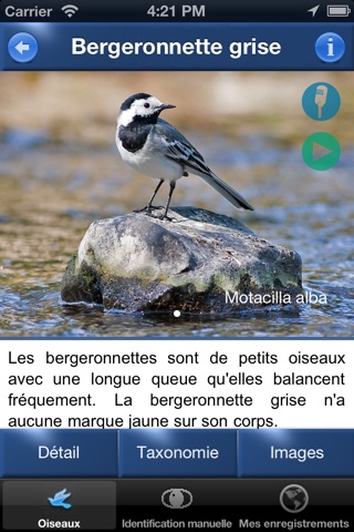 Oiseau ID France - Apprenez à reconnaître les oiseaux dans la nature et dans votre jardin screenshot 2