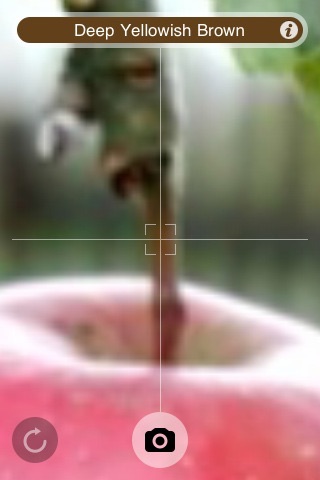 Color Curious screenshot-3