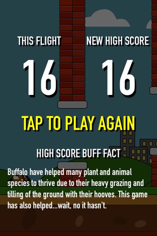 Buffalo Wings! screenshot 4
