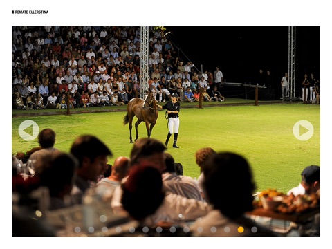 Argentina POLO screenshot 4