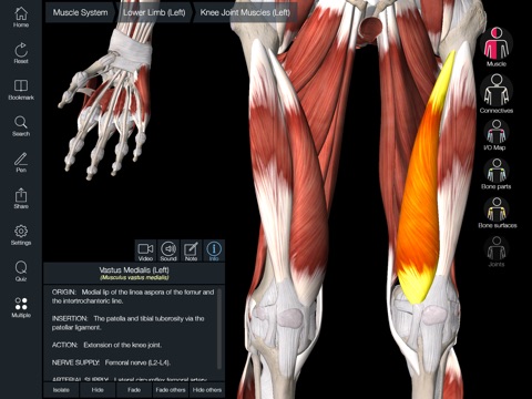 Essential Muscle + Skeleton Anatomy screenshot 2