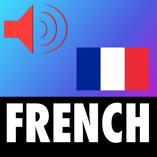 French Verbs List - App For Learning French Verbs with MemFrench icon