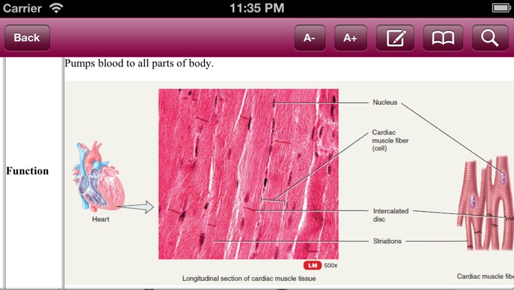 Principles of Anatomy and Physiology for iPhone