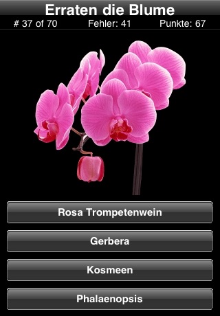 A Flower Quiz screenshot 3