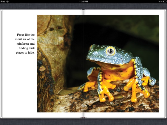  Rainforest Animals On Apple Books