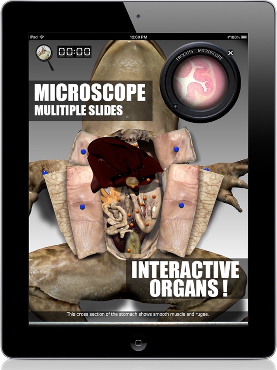 Froguts Frog Dissection HD for iPad