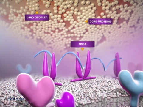 HCV Life Cycle by AbbVie screenshot 2