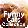 Funny Cats Collection - iPhoneアプリ