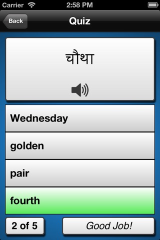 Learn Hindi Now screenshot 4