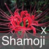 Shamoji123Extreme