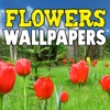 Flowers Wallpapers