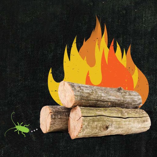 Firewood Buddy Icon
