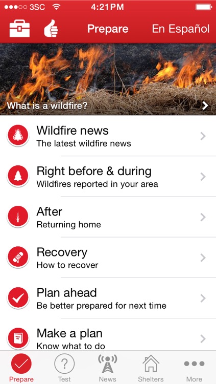 Wildfires by American Red Cross