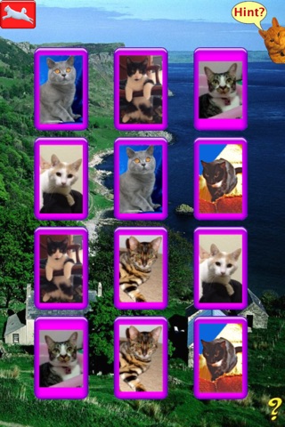 Kitty Match screenshot 3