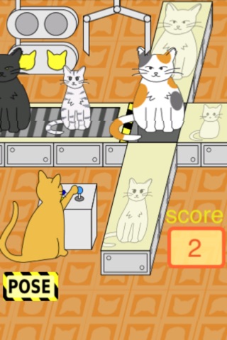 Cat Classification screenshot 2