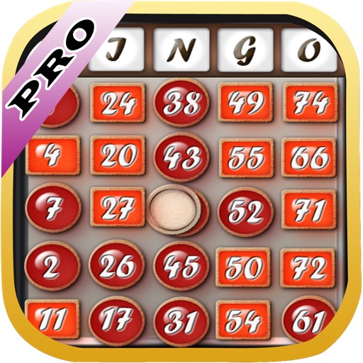 Bingo Casino Club PRO - Spin to Win Big icon