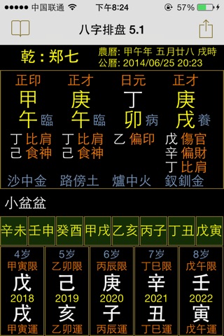BaZi 八字排盘 screenshot 4