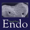 Endo Journal