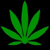 Medical Marijuana Log