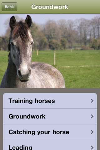 Good Horsemanship - Equestrian Riding, Groundwork, Dressage and Jumping screenshot 4