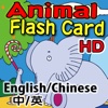 Flash Card Animal HD