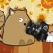 A Game for Cats That Will Secretly Take Photos and Make Videos of Your Cat For You