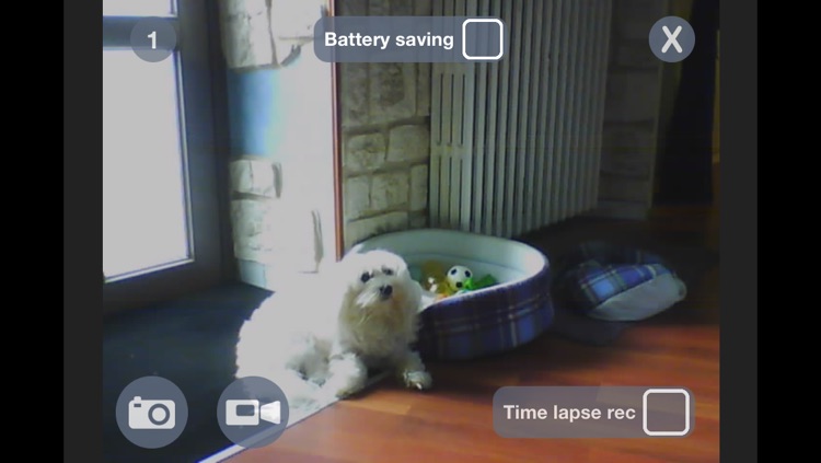 myIPCam IP camera view, recording video time lapse
