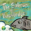 The Salmon of Knowledge