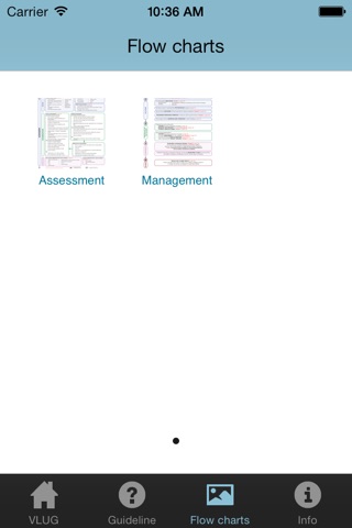 VLU Clinical practice guidelines screenshot 3