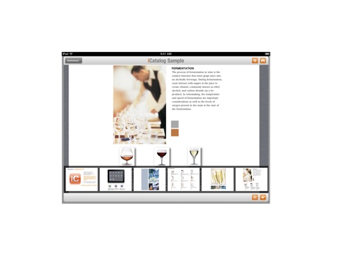 iCatalog for iPad screenshot 3