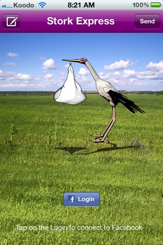 Stork Delivery screenshot 3